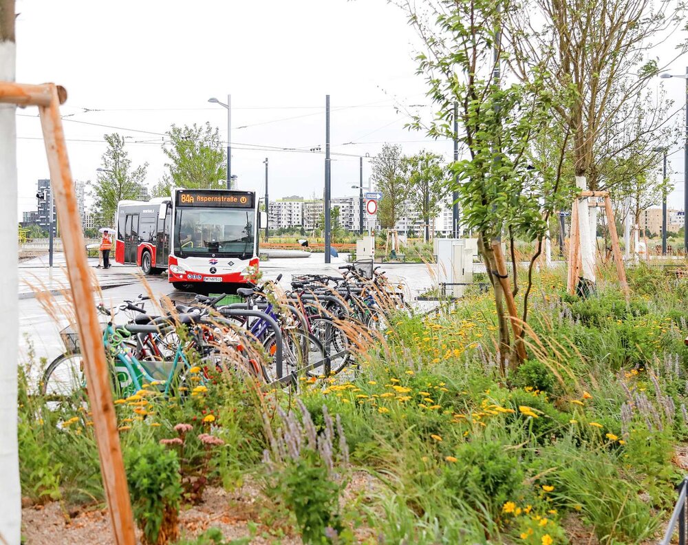 Wien investiert in Klimaschutz: Der Nelson-Mandela-Platz im 22. Bezirk vor dem Verkehrsknotenpunkt Aspern Nord bietet schattige Aufenthaltsbereiche mit 75 neuen Bäumen und rund 2.000 m2 Grünflächen sowie bunten Gräserbeeten.