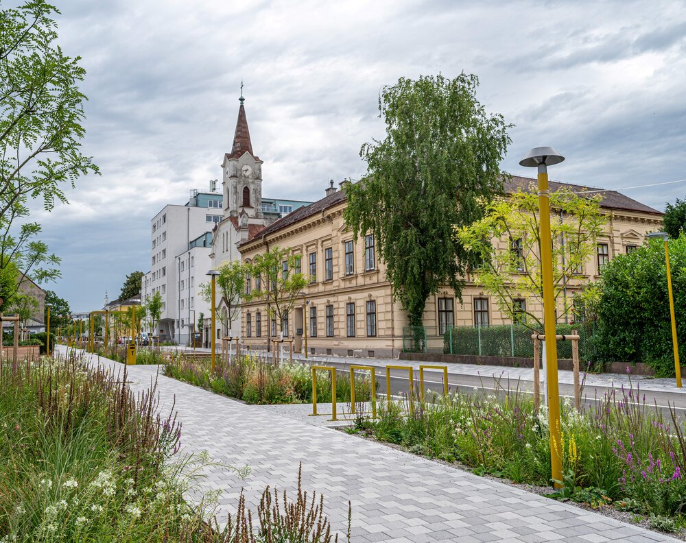 Begrünter Promenadenring in St. Pölten Begrünter Promenadenring in St. Pölten