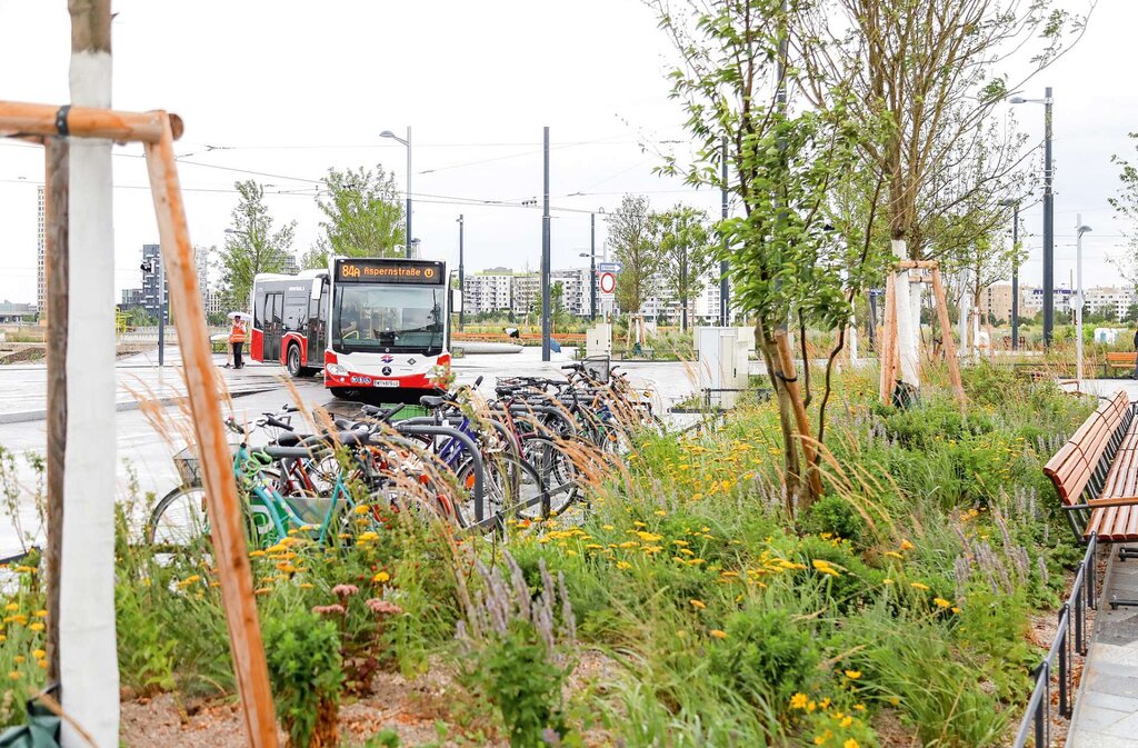 Wien investiert in Klimaschutz: Der Nelson-Mandela-Platz im 22. Bezirk vor dem Verkehrsknotenpunkt Aspern Nord bietet schattige Aufenthaltsbereiche mit 75 neuen Bäumen und rund 2.000 m2 Grünflächen sowie bunten Gräserbeeten. 
